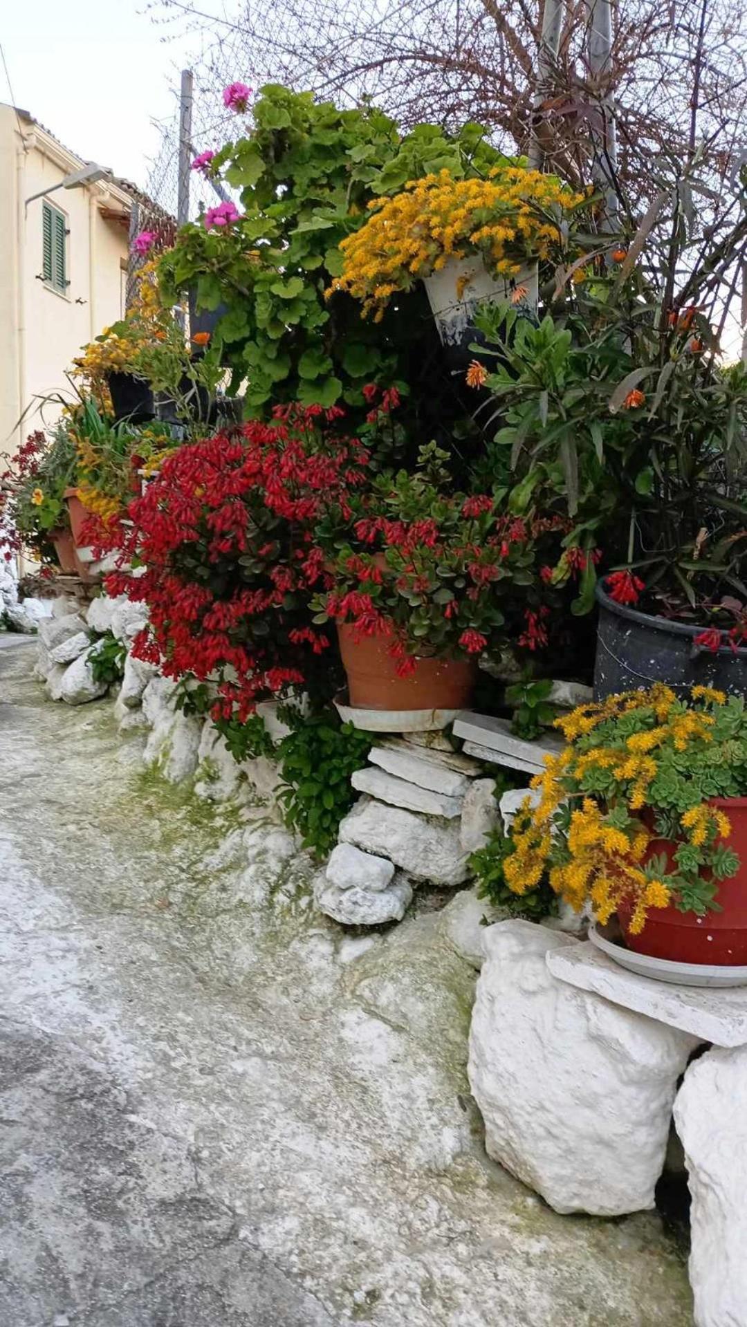 Apartamento Su casa Pelekas Exterior foto